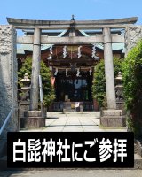 白髭神社へご参拝・・・ご利益ありそう！