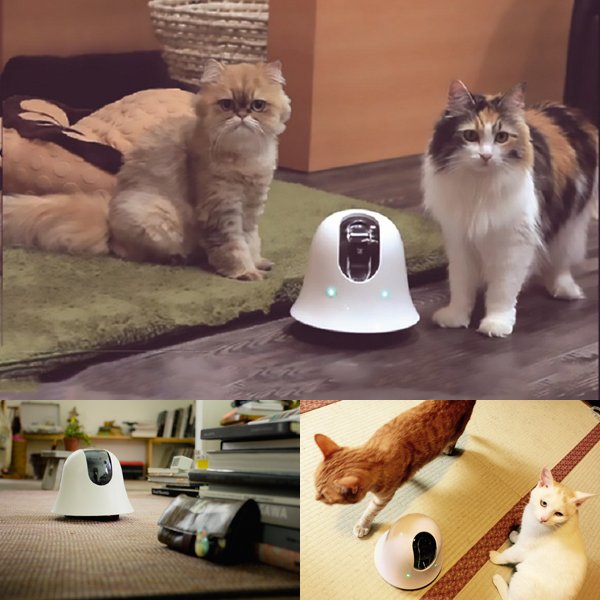 移動するお留守番カメラilboイルボ「専用充電器セット」（送料無料 お