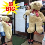 画像3: シフォンベア超ＢＩＧサイズ （特大 ビッグベアー くまの大きなぬいぐるみ ジャンボサイズ 全長115cm 座高80cm リボン付き ふわふわ) (3)