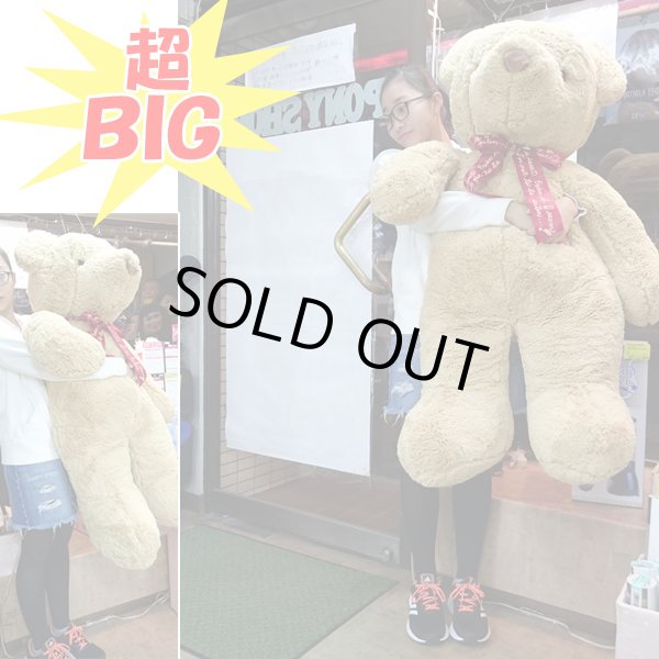 シフォンベア超BIGサイズ （特大 ビッグベアー くまの大きな