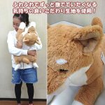 画像3: マイドッグ「柴犬」 (まるで本物 ぬいぐるみ リアルサイズ 犬のインテリア 60cm ギフト プレゼント） (3)