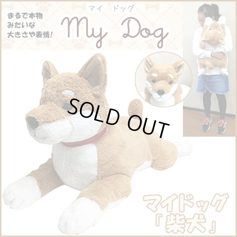 画像1: マイドッグ「柴犬」 (まるで本物 ぬいぐるみ リアルサイズ 犬のインテリア 60cm ギフト プレゼント） (1)