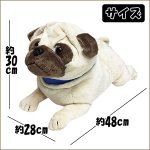 画像4: マイドッグ「パグ」 (まるで本物 ぬいぐるみ リアルサイズ 犬のインテリア 96cm ギフト プレゼント） (4)