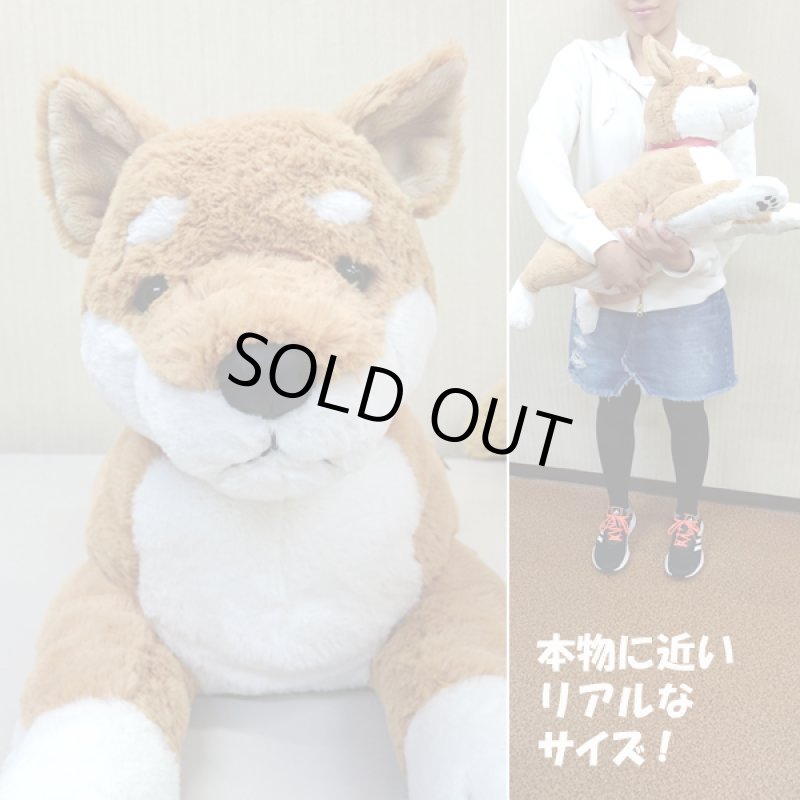 画像2: マイドッグ「柴犬」 (まるで本物 ぬいぐるみ リアルサイズ 犬のインテリア 60cm ギフト プレゼント) (2)