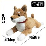 画像4: マイドッグ「柴犬」 (まるで本物 ぬいぐるみ リアルサイズ 犬のインテリア 60cm ギフト プレゼント） (4)