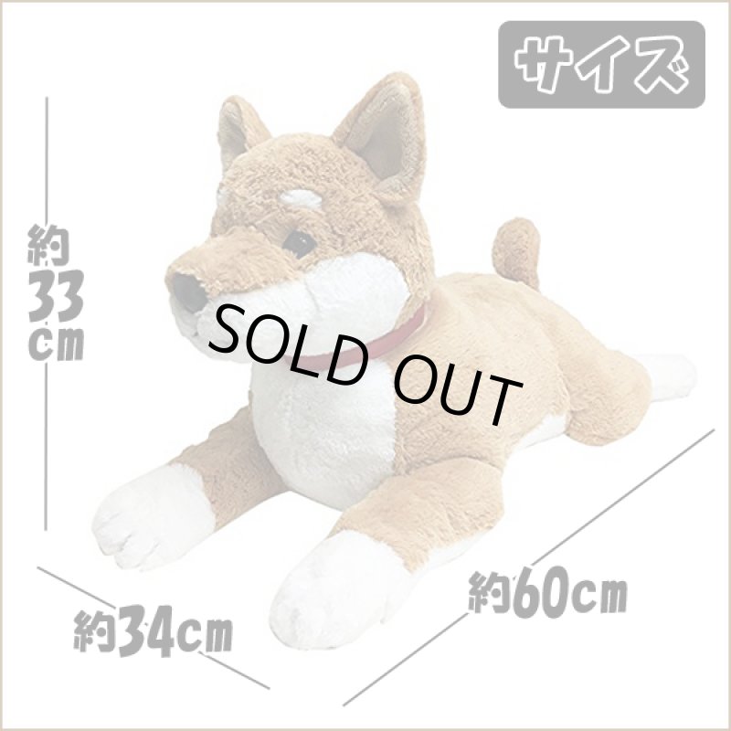 画像4: マイドッグ「柴犬」 (まるで本物 ぬいぐるみ リアルサイズ 犬のインテリア 60cm ギフト プレゼント) (4)