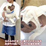 画像3: マイドッグ「パグ」 (まるで本物 ぬいぐるみ リアルサイズ 犬のインテリア 96cm ギフト プレゼント） (3)