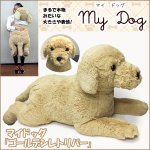 画像1: マイドッグ「ゴールデンレトリバー」 (まるで本物 ぬいぐるみ リアルサイズ ビッグサイズ 犬のインテリア 96cm ギフト） (1)