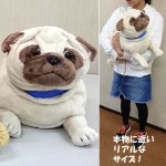 画像2: マイドッグ「パグ」 (まるで本物 ぬいぐるみ リアルサイズ 犬のインテリア 96cm ギフト プレゼント） (2)