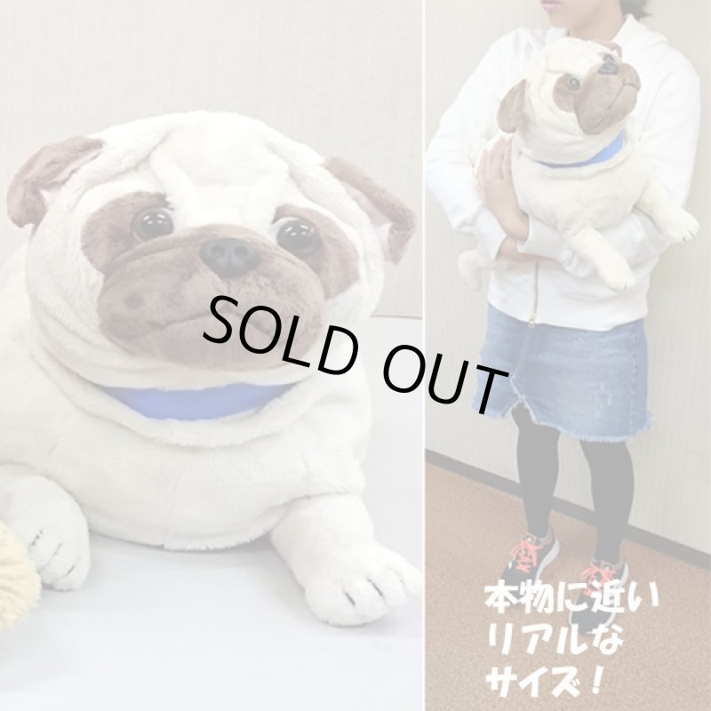 画像2: マイドッグ「パグ」 (まるで本物 ぬいぐるみ リアルサイズ 犬のインテリア 96cm ギフト プレゼント） (2)