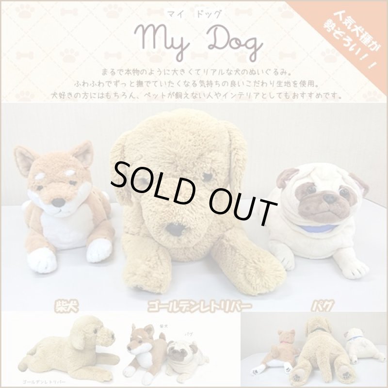 画像5: マイドッグ「パグ」 (まるで本物 ぬいぐるみ リアルサイズ 犬のインテリア 96cm ギフト プレゼント） (5)