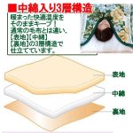 画像3: お買い得！中綿3層衿ぐり暖か毛布3色組 (送料無料 230cm ロングサイズ 暖か 3層構造 快眠 快適温度キープ 保温) (3)