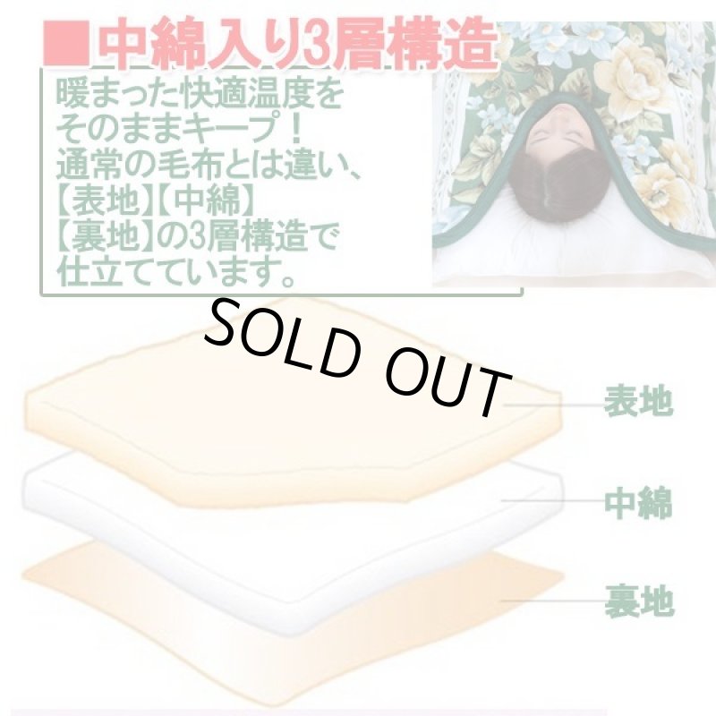 画像3: お買い得!中綿3層衿ぐり暖か毛布3色組 (送料無料 230cm ロングサイズ 暖か 3層構造 快眠 快適温度キープ 保温) (3)