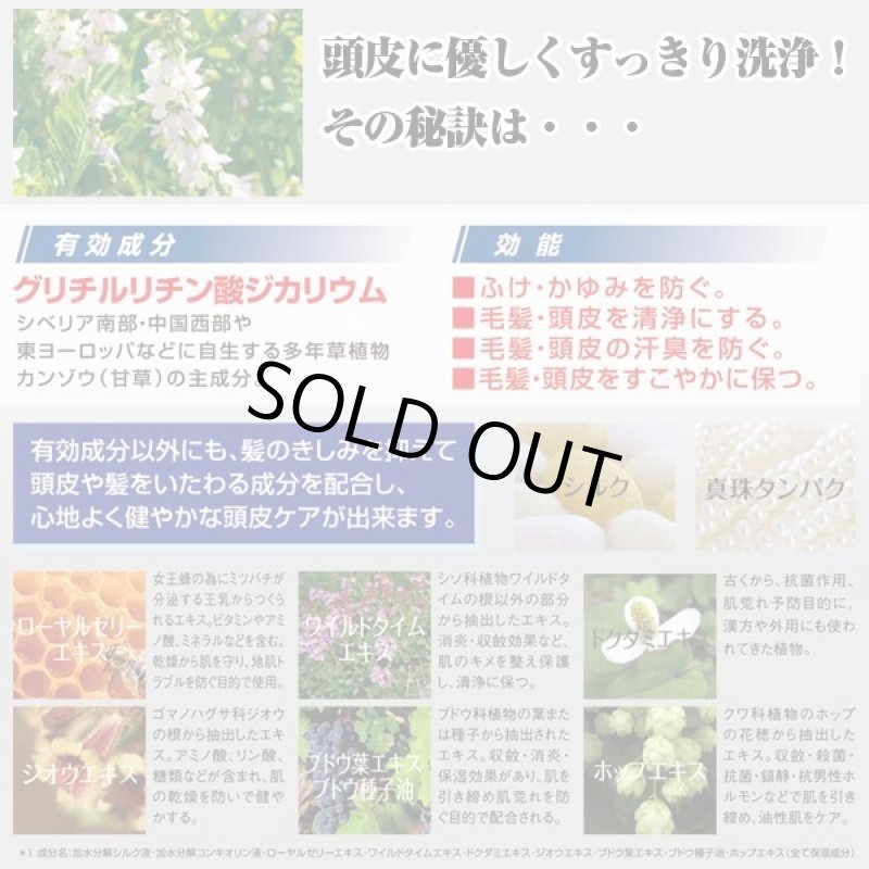 画像2: メンズ限定スカルププレミアムXL薬用シャンプー500ml(医薬部外品,育毛,薄毛・フケに,頭皮のニオイ・かゆみに,毛髪・頭皮を清浄,ふけ・かゆみ) (2)