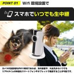 画像4: スマホでいつでも確認「小型WiFi防犯カメラ」 (防犯カメラ,wifiネットワーク,録画,音声対応,スマホ対応,空き巣対策) (4)