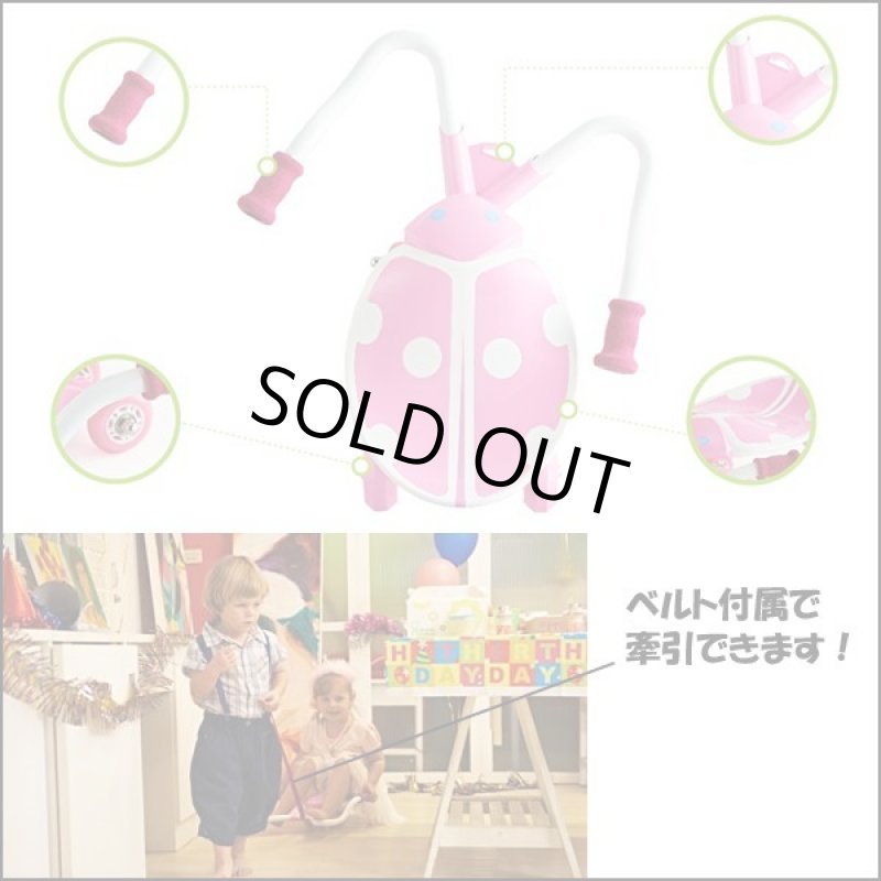 画像5: JD BUGジェイディーバグ「スカイバグ」 (5)