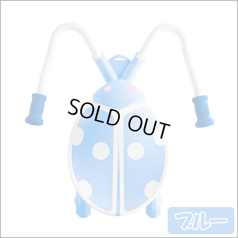 画像3: JD BUGジェイディーバグ「スカイバグ」 (3)