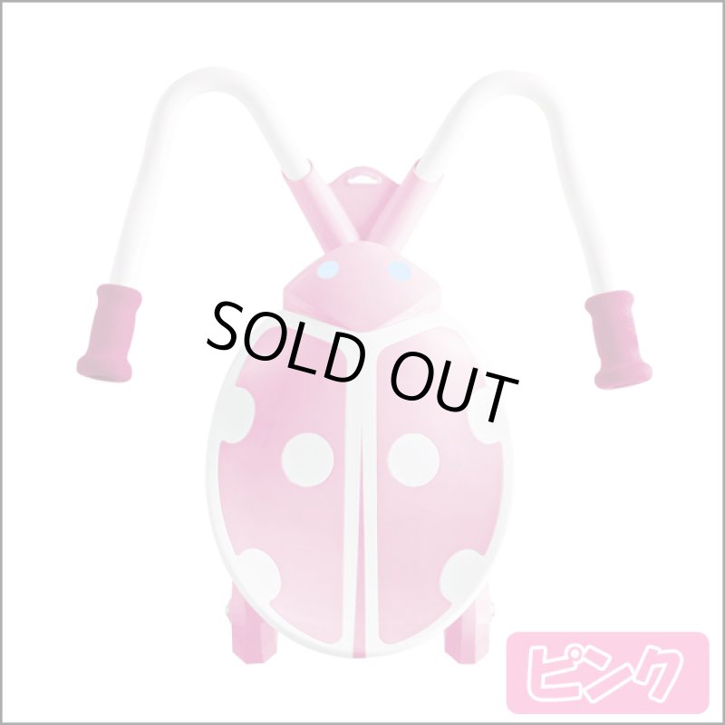 画像2: JD BUGジェイディーバグ「スカイバグ」 (2)