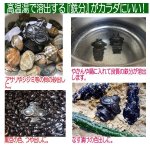 画像3: 鉄分補給「南部鉄偶ツインズ」腹筋＆背筋セット (3)