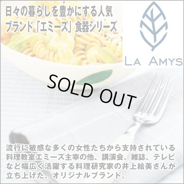 【未使用】LA AMYS ラ・エミーズ　リムプレート　3枚　パスタ　ハーブ エミーズ 皿 ラ」の人気商品一覧 | 安い商品を通販サイトから