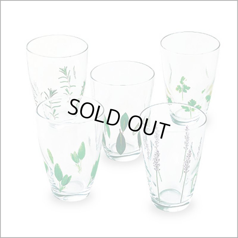 画像3: LA AMYSラ・エミーズ「タンブラーMセット」 (3)