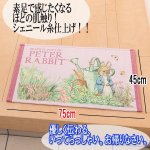 画像3: 公式ライセンス ピーターラビット シェニール玄関マット75 (3)