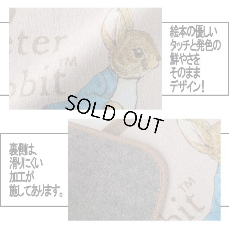 画像2: 公式ライセンス ピーターラビット シェニールトイレマット60 (2)