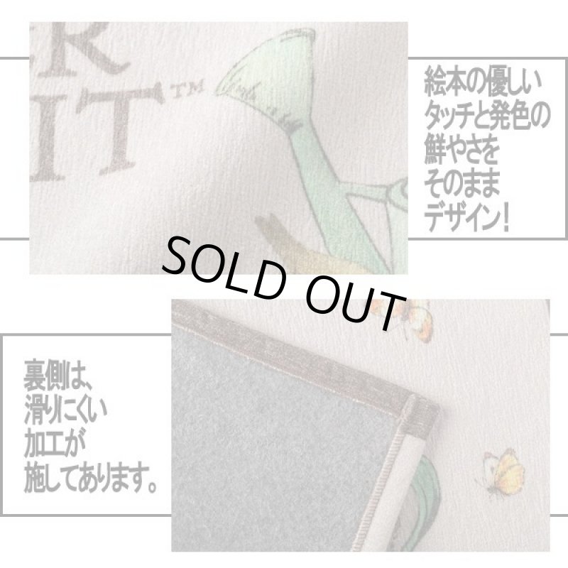 画像2: 公式ライセンス ピーターラビット シェニール玄関マット75 (2)