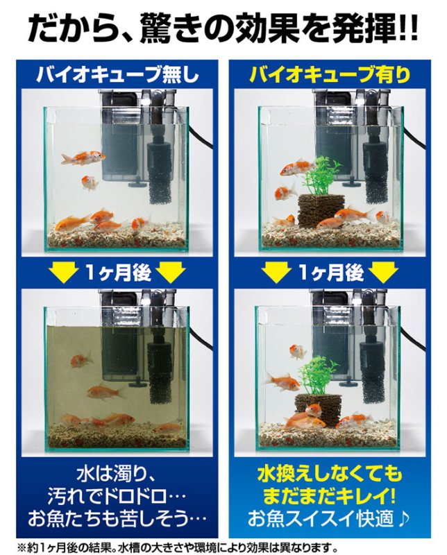 画像7: 水槽水を浄化し続ける！バイオキューブ[1点] (7)