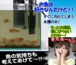 画像2: 水槽水を浄化し続ける！バイオキューブ[1点] (2)