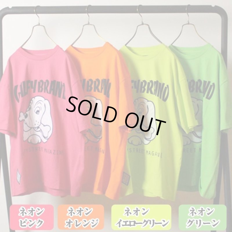 画像2: GALFY「ガルフィー」Ｔシャツ182007 (2)