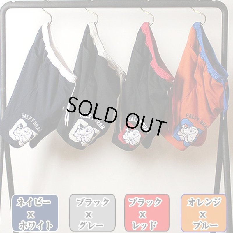 画像2: GALFY「ガルフィー」メッシュバスケパンツ182011 (2)