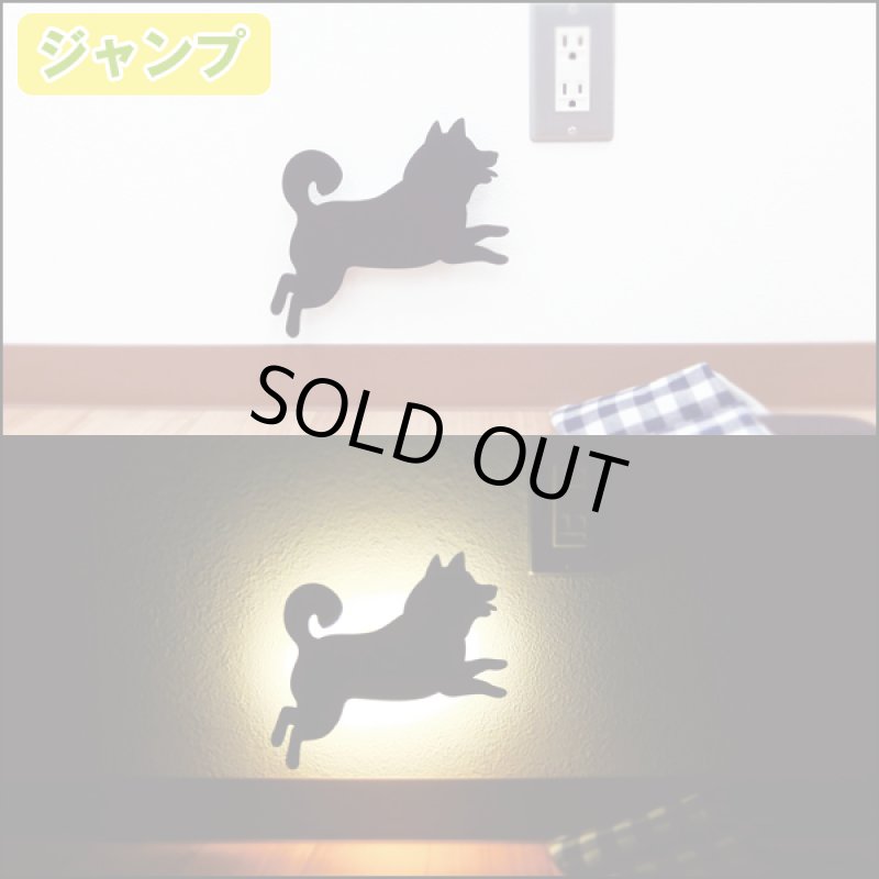 画像4: シバ ウォールライト (4)