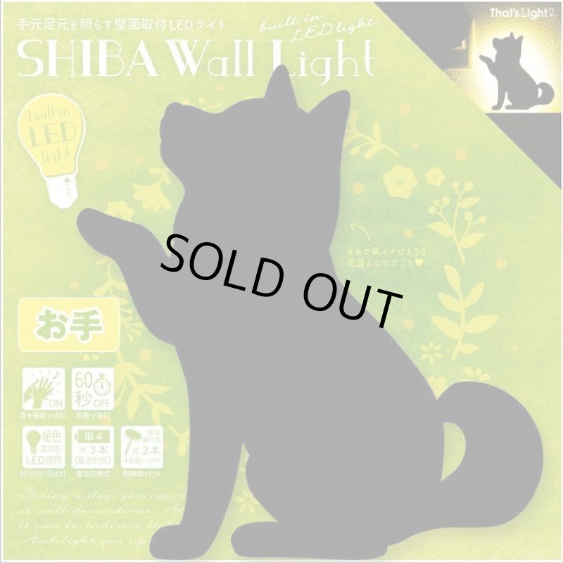 画像5: シバ ウォールライト (5)