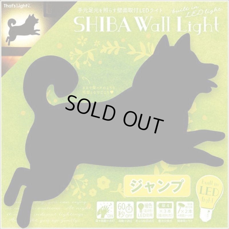 画像3: シバ ウォールライト (3)
