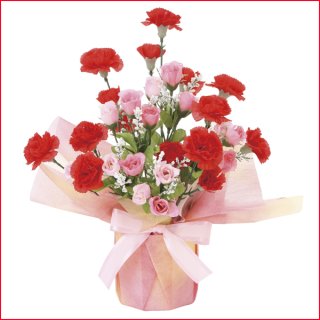 光触媒フラワーアレンジ「カーネーションL」ABL-859A50