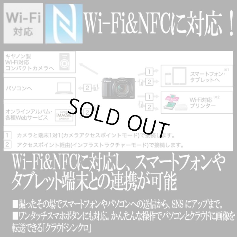 画像8: キヤノンPowerShot SX530 HS［豪華４点セット］ (8)