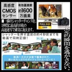 画像3: キヤノンPowerShot SX530 HS［豪華４点セット］ (3)