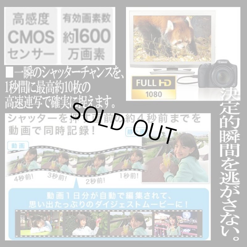 画像3: キヤノンPowerShot SX530 HS［豪華４点セット］ (3)