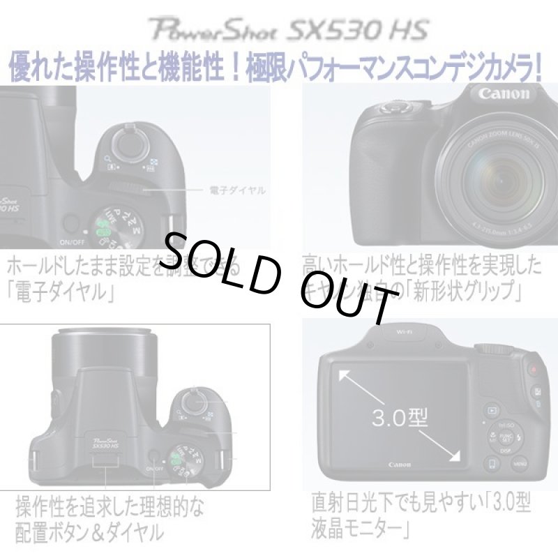 画像9: キヤノンPowerShot SX530 HS［豪華４点セット］ (9)