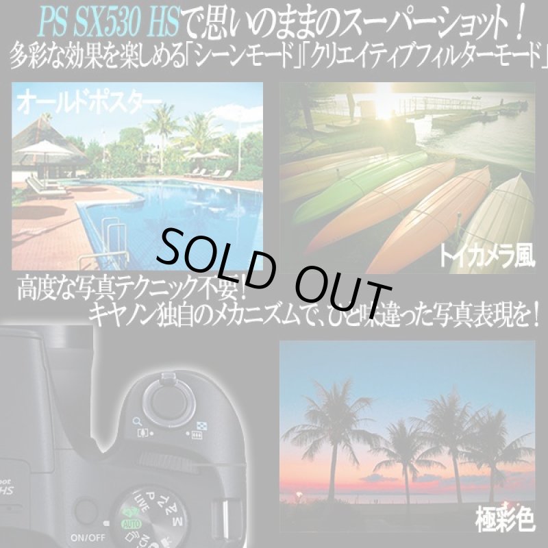 画像5: キヤノンPowerShot SX530 HS［豪華４点セット］ (5)