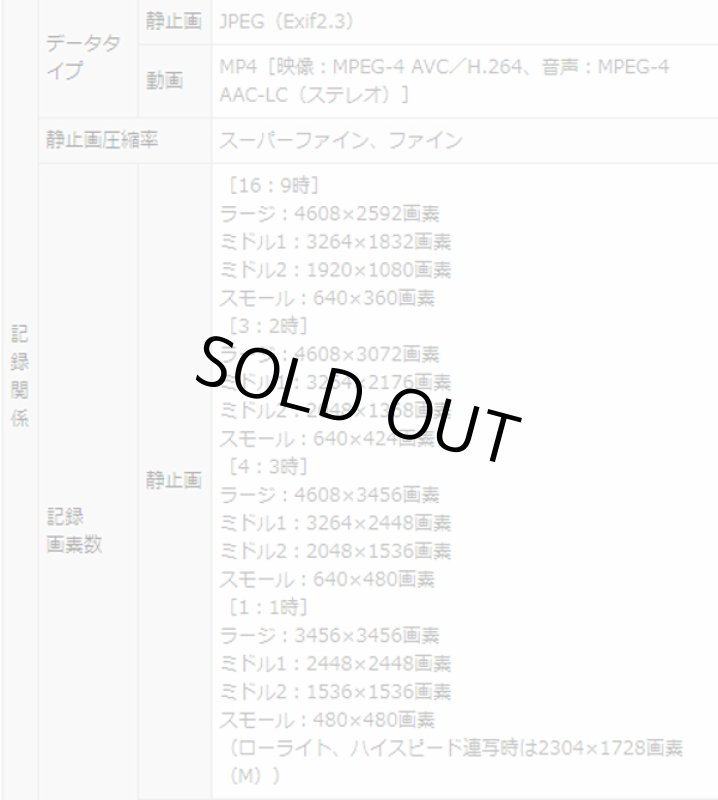 画像14: キヤノンPowerShot SX530 HS［豪華４点セット］ (14)
