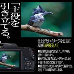 画像7: キヤノンPowerShot SX530 HS［豪華４点セット］ (7)