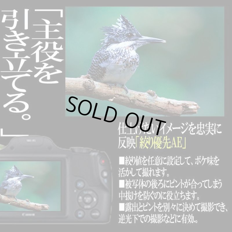 画像7: キヤノンPowerShot SX530 HS［豪華４点セット］ (7)