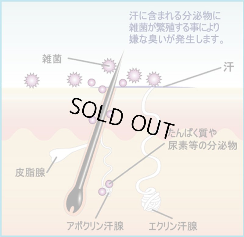 画像3: 医薬部外品デオドラントラヴィリン「ジュビリー」  (3)