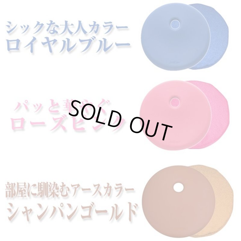 画像16: 姿勢クリエイター指導付「ランバークッションマスター」 (16)