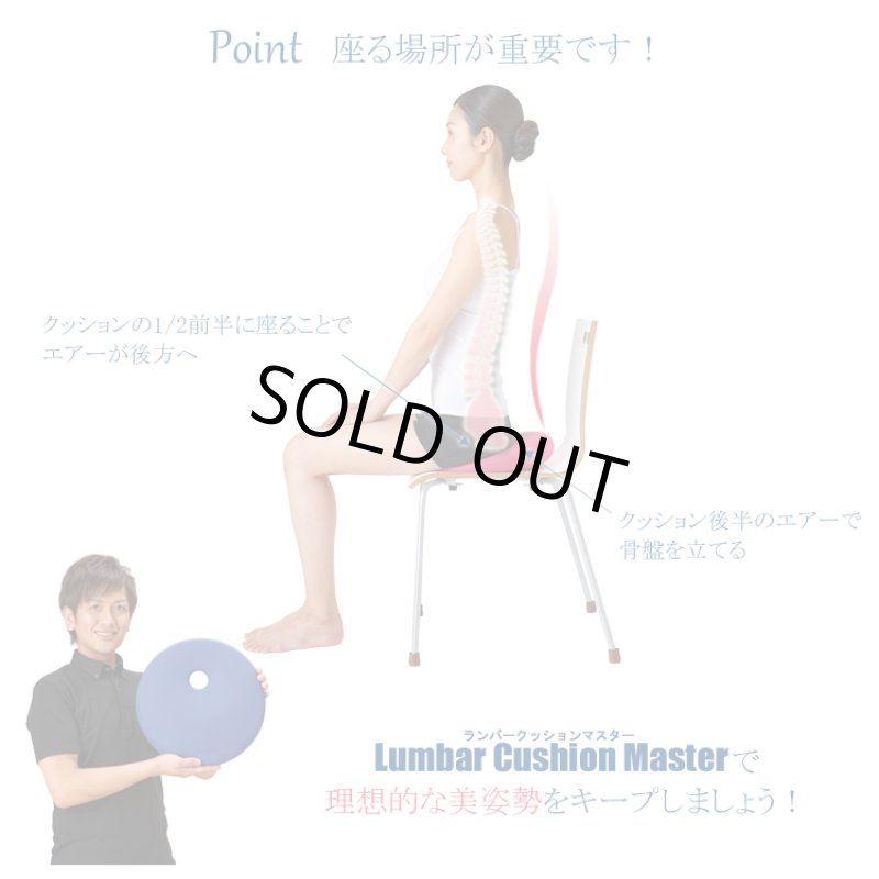 画像8: 姿勢クリエイター指導付「ランバークッションマスター」 (8)