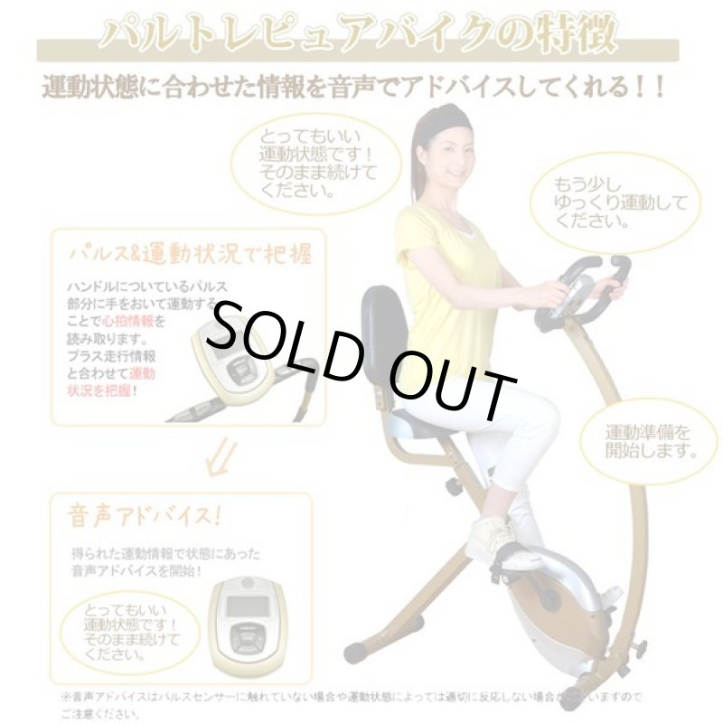 画像3: 音声ナビゲーション付きバイク「パルトレピュアバイク」 (3)