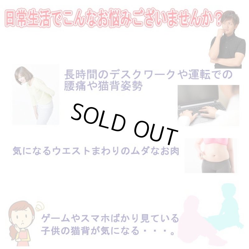 画像3: 姿勢クリエイター指導付「ランバークッションマスター」 (3)