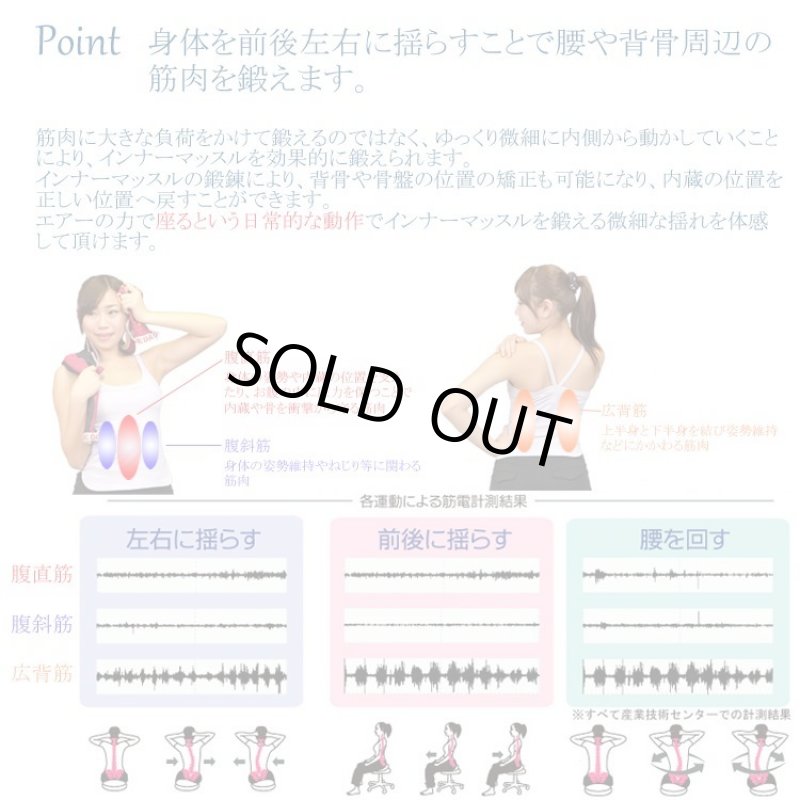 画像9: 姿勢クリエイター指導付「ランバークッションマスター」 (9)